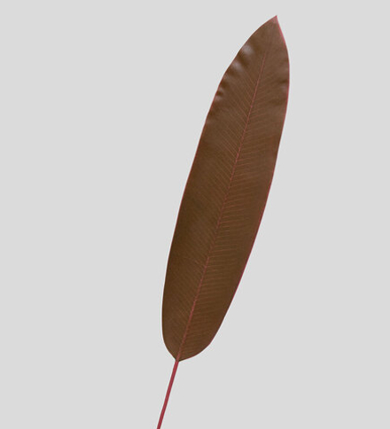 TR 572LL Банановый лист