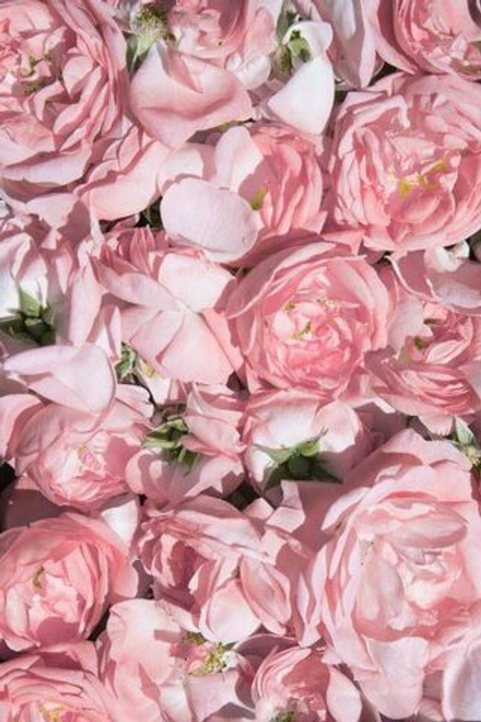 BENZYL ALCOHOL FR / БЕНЗИЛОВЫЙ СПИРТ CAS 100-51-6