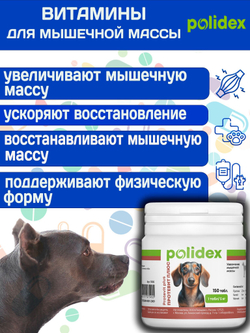 Polidex Protevit Plus для собак, Кормовая добавка для увеличения мышечной массы, Полидек Протевит Плюс, 150 таб