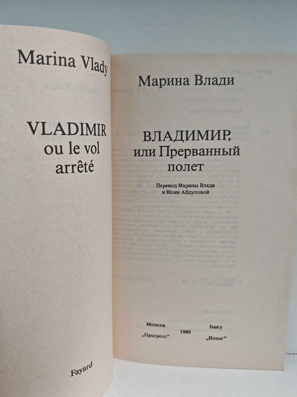 Владимир, или Прерванный полет