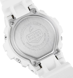 DW-6900RCS-7