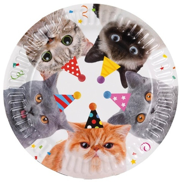 Тарелки бумажные «Котики» фотографичные, 17 см / 23 см, 6 шт