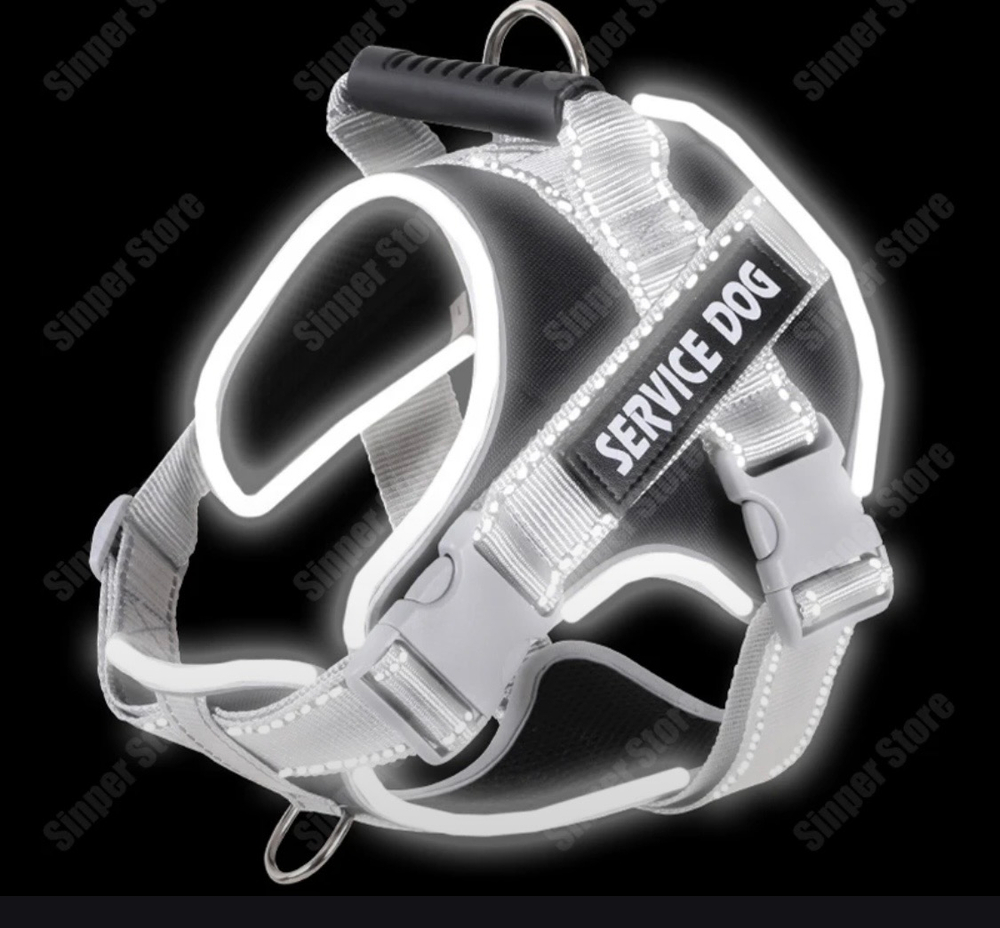 Шлейка и поводок «Service Dog»