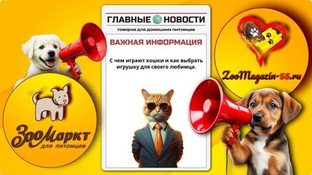 Игрушки для кошек