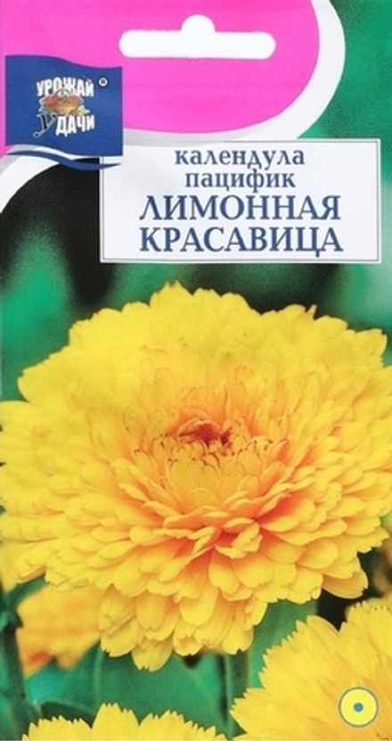 Календула Лимонная красавица