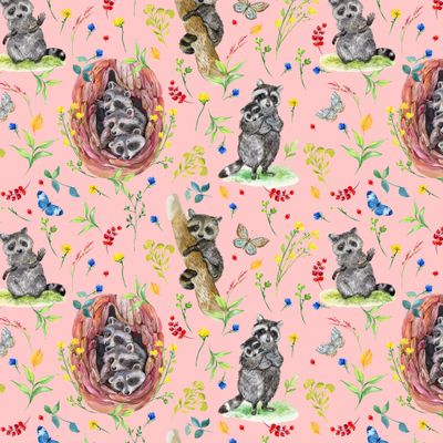 милые еноты