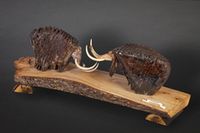 Зубы мамонта