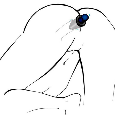 Анальная пробка полая Lust Tunnel Plug (черная) (Цвет: черный)