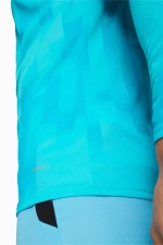 Вратарская кофта Puma teamTarget GK LS