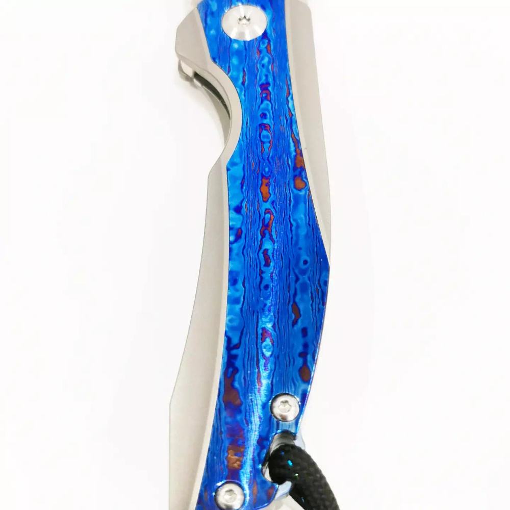 Kansept  Accipiter mini timascus
