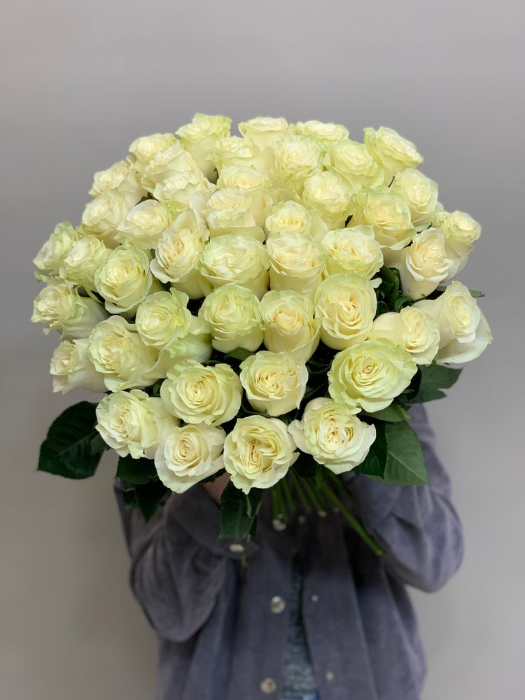Букет 45 белых роз Эквадор 50см в ленте