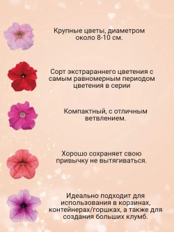 Семена Петуния Крупноцветковая