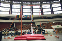 Мобильная гимнастическая стойка