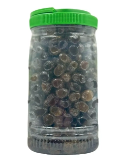 Koy Sefasi Маслины в масле с косточкой, 1.5кг