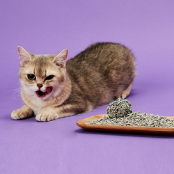 Наполнитель для кошачьего туалета смесь 5в1