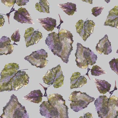 Листья берёзы №3.