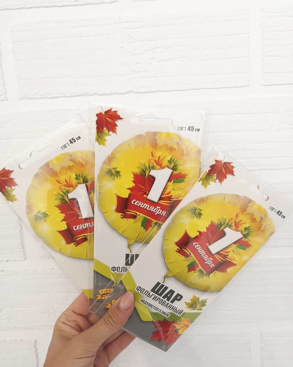 Круг 45 см 1 сентября №1 (БГ-15)  Изображение3