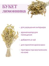 Букет лимонника крымского 30 см