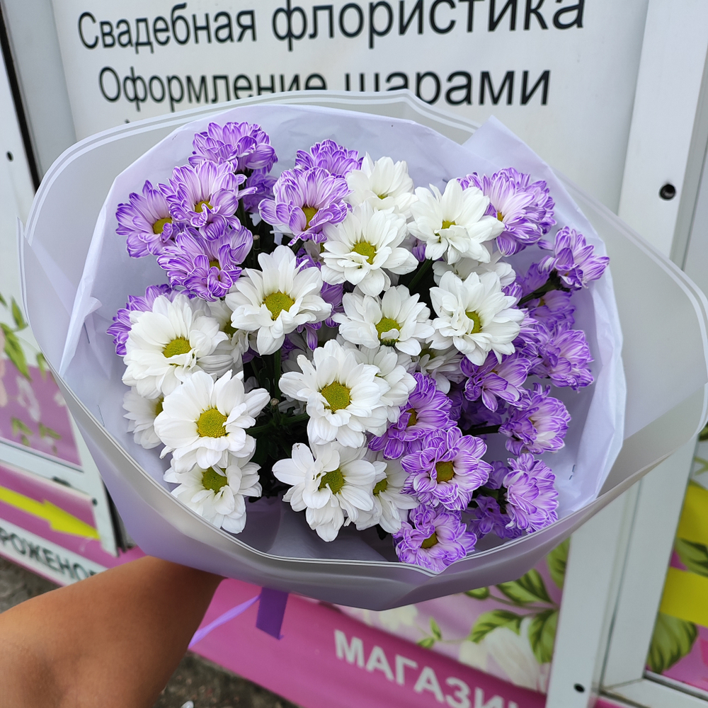 Пять кустовых ромашковых хризантем