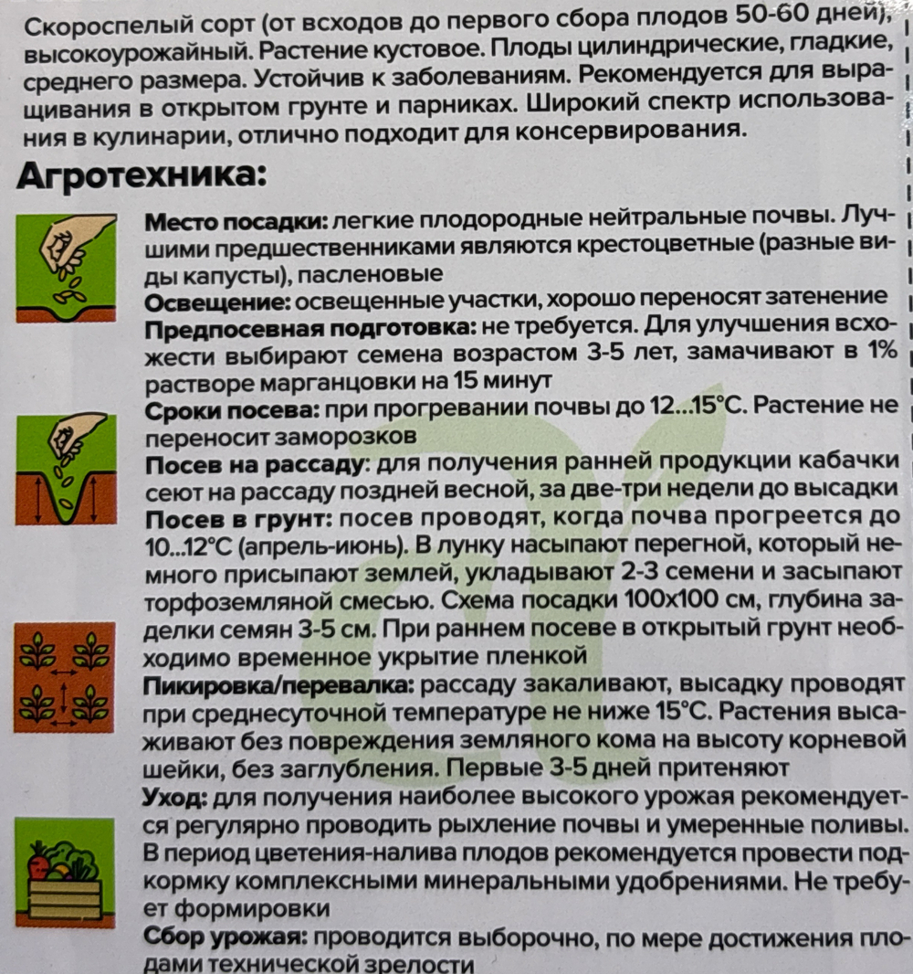 Кабачок Бабье Счастье 2 г СМКАБ-19