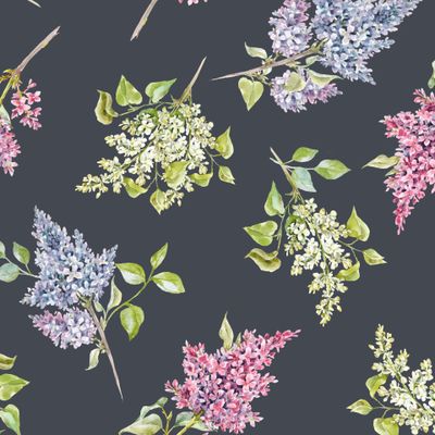 Сирень (темный фон)