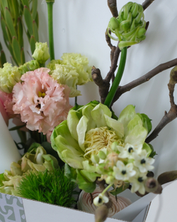 Букет с ветками магнолии, розами Вегги, нерине, орнитогалумом и ранункулюсами