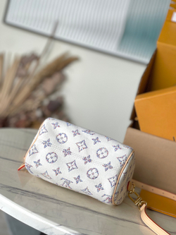 Louis Vuitton Speedy 20