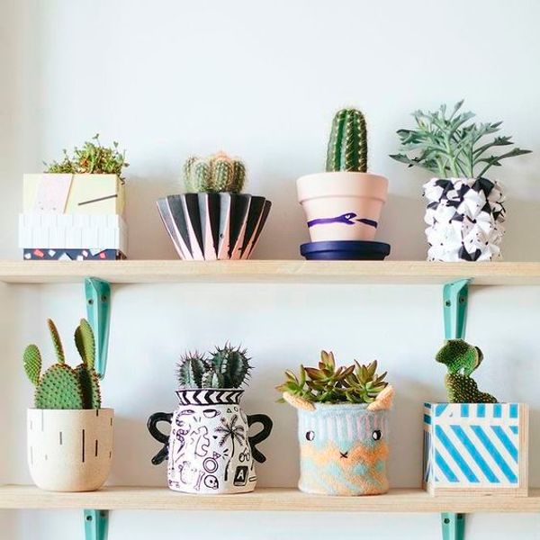 Путь к порядку начинается сегодня