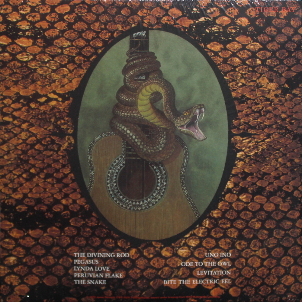 Harvey Mandel / The Snake (LP)