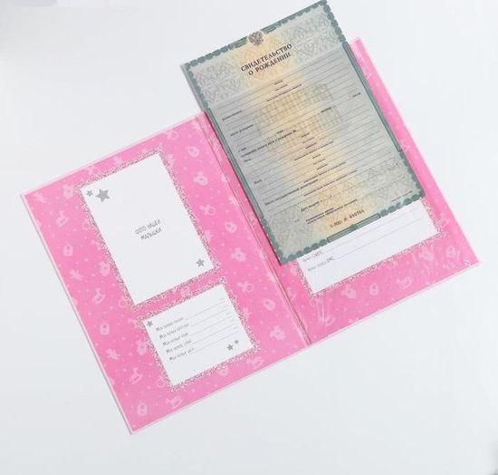 Папка для свидетельства о рождении с уголками "Мои первые документы", для девочки, А4