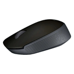 Мышь Logitech M171 Wireless 2.4 GHz, Black/Grey