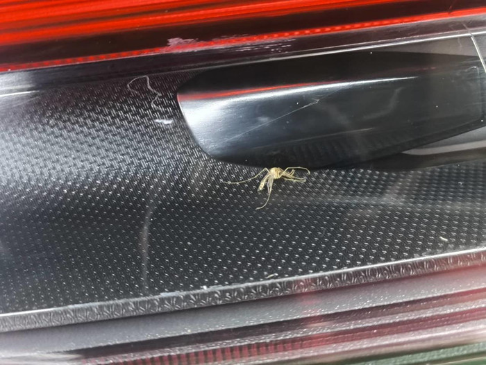 Фонарь левый внешний Porsche Macan 95b (2018-н.в.)