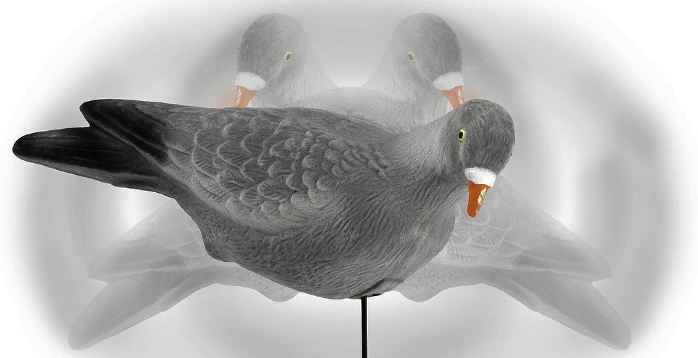 Чучела голубя Lucky Duck (3 шт.)
