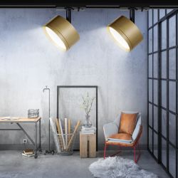 Трековый светильник однофазный ЭРА TR48 - GX53 MG под лампу GX53 матовое золото | Однофазные трековые светильники