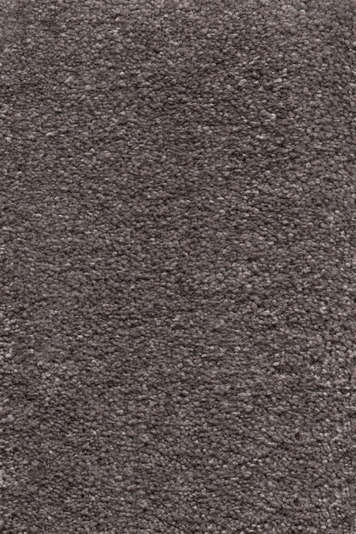 Ковровое покрытие AW Invictus Sirius 49