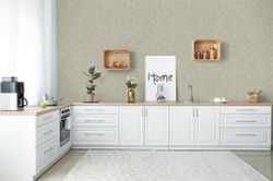 Otaru / Kumano / Surface