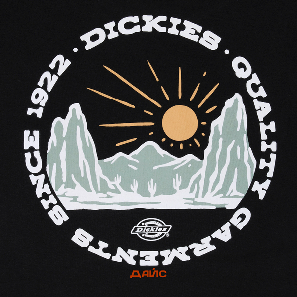 Футболка мужская Dickies Outdoor артикул:DK0A4Z8PBLK1 - купить в магазине Дайс