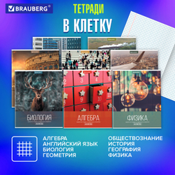 Тетради предметные, КОМПЛЕКТ 10 ПРЕДМЕТОВ, "КЛАССИКА XXI", 48 л., обложка картон, BRAUBERG, 404025