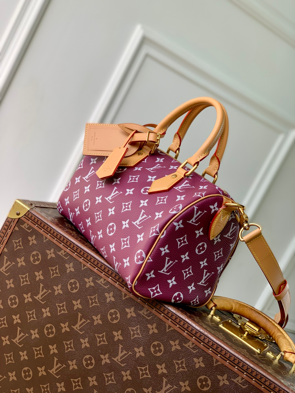 Louis Vuitton Speedy P9 Bandouliere 25