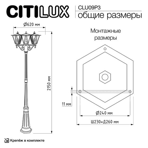 Садово-парковый светильник Citilux Forts CLU09P3