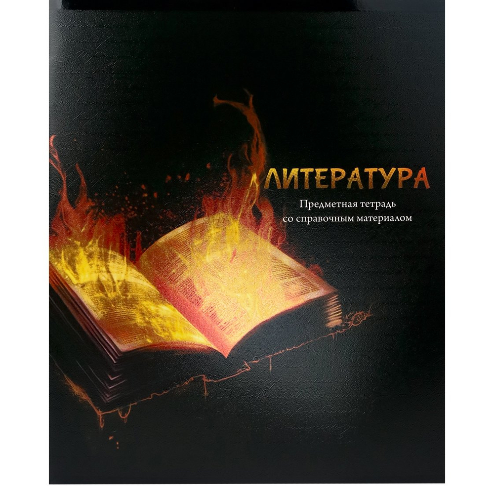 Тетрадь предметная 48л., А5, линия, Проф-Пресс,"Магия предмета. Литература" скрепка, мелованный картон, хол. ф., твин лак, со справ. материалом