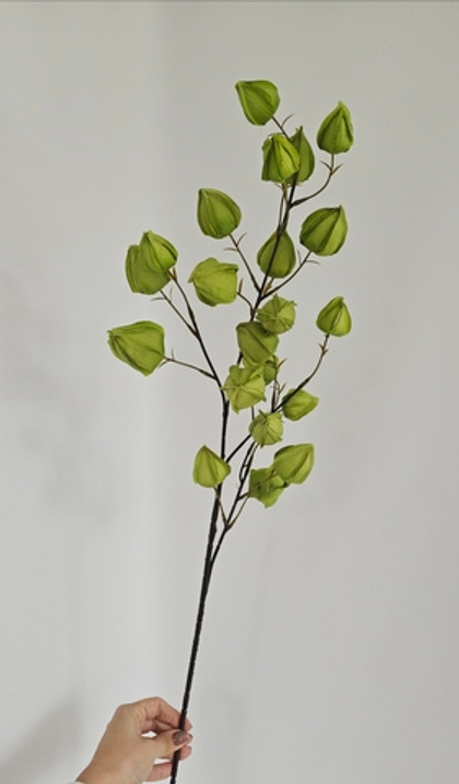 Физалис / Арт 2299