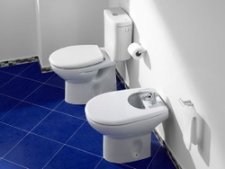 Биде напольное Roca Victoria 7357390000