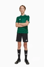 Футболка adidas Campeon 25 Junior - зеленый