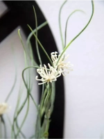 Настенная композиция "Окно с цветами"