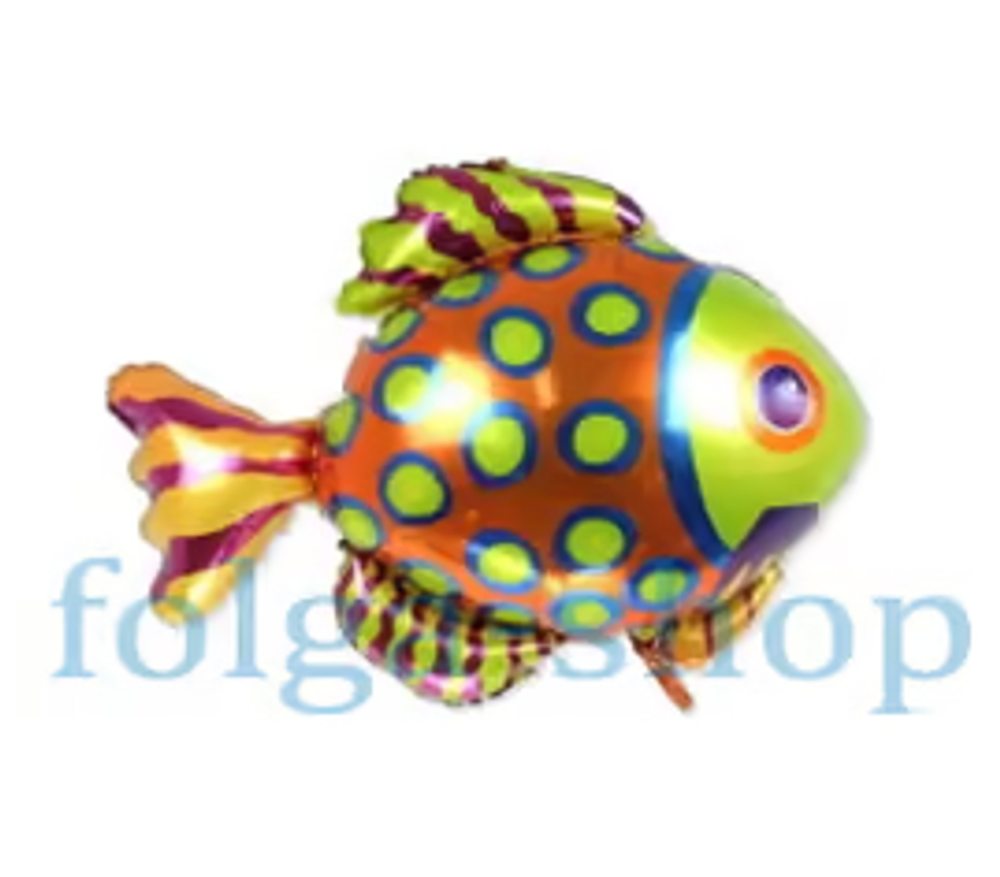 К Мини-фигура Экзотическая рыбка  (14''/36 см)