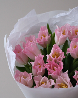 Моно из 15 пионовидных тюльпанов Краун ов Династи