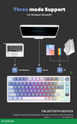 Клавиатура Royal Kludge RK-M75 K Silver switch/Taro milk