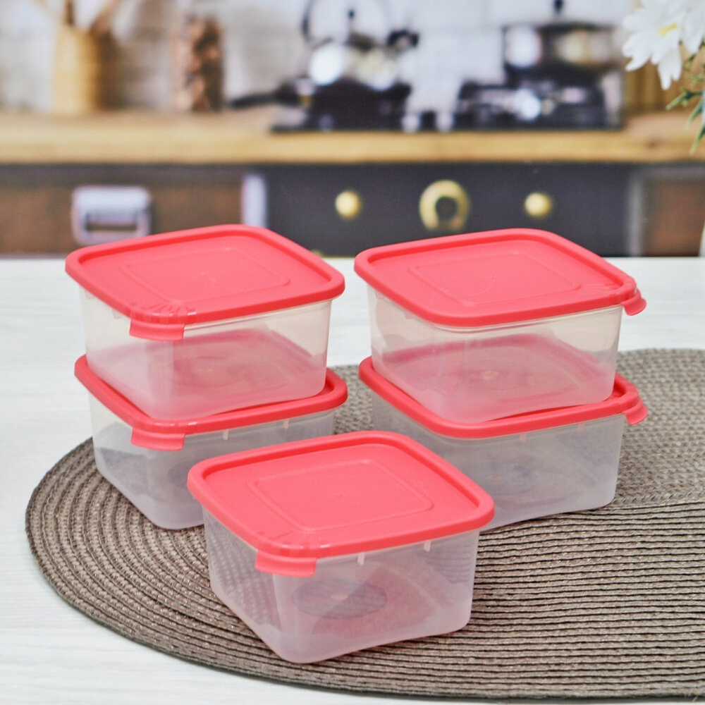 Комплект контейнеров 5шт 0,2л "Каскад Квадро"