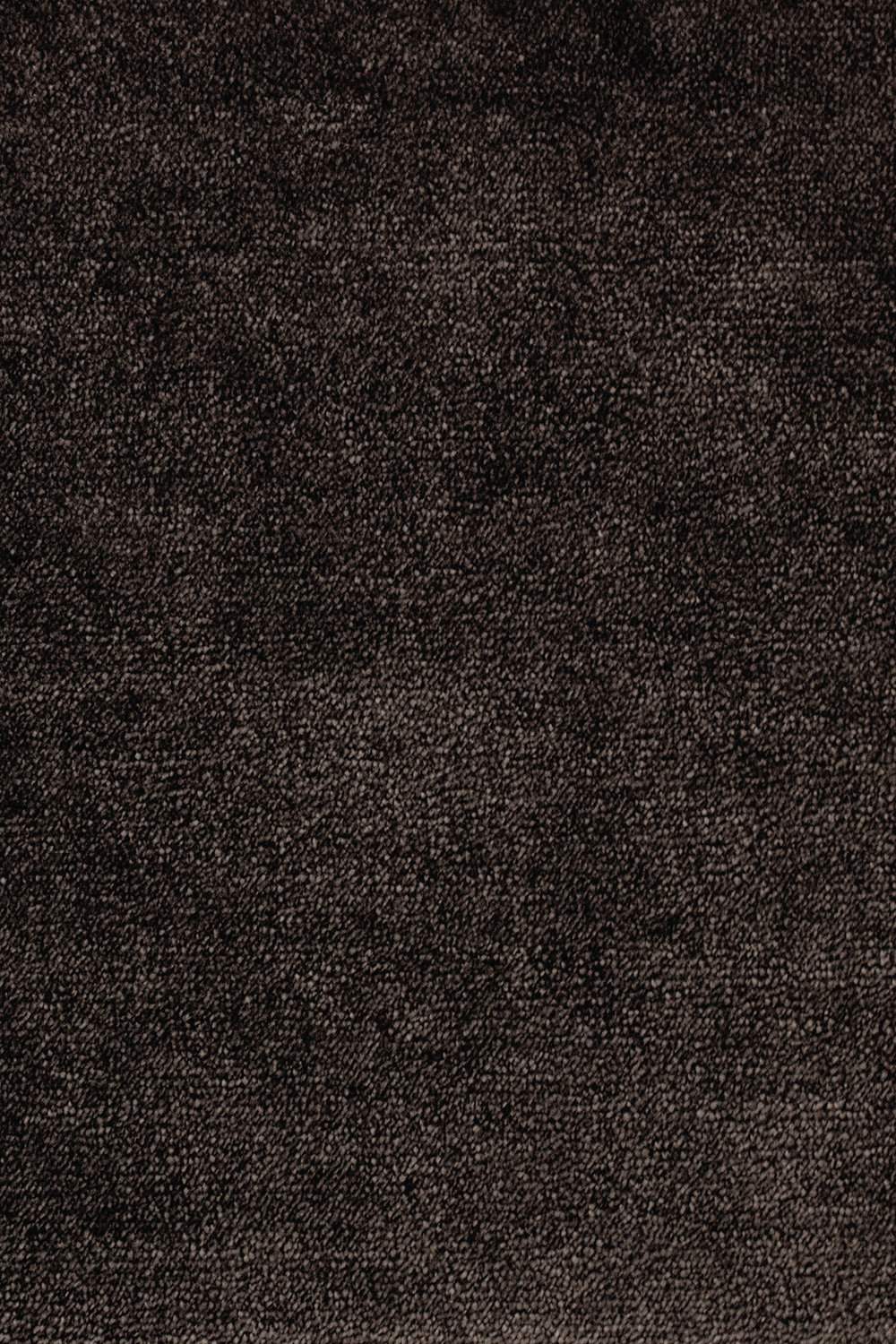 Ковровое покрытие AW The Velvet Collection Omphale 99